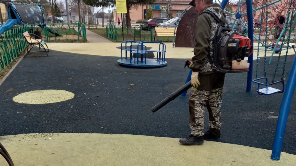 Фото: администрация г.о. Лотошино