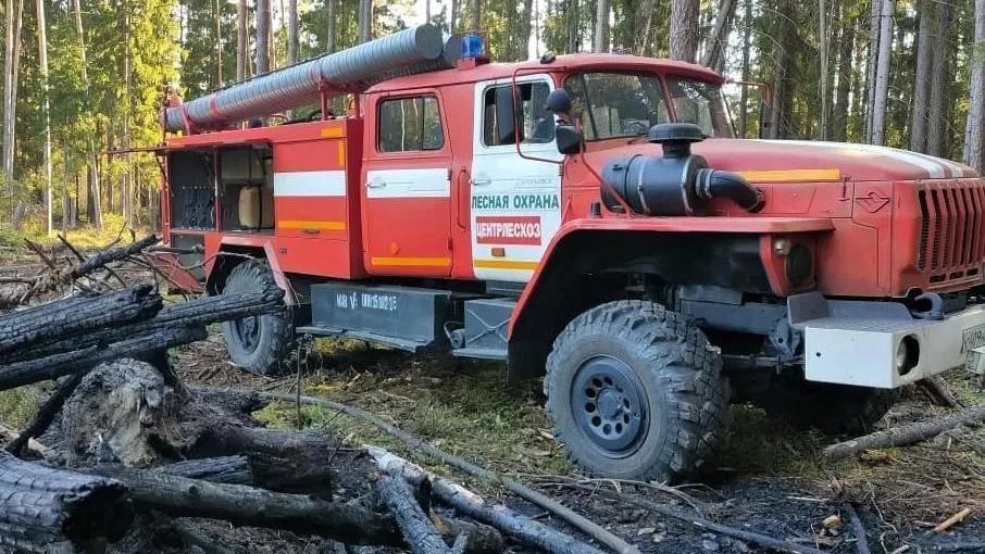 В Подмосковье за последние дни ликвидировали восемь лесных пожаров