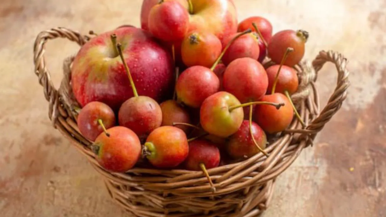 Фото: freepik.com