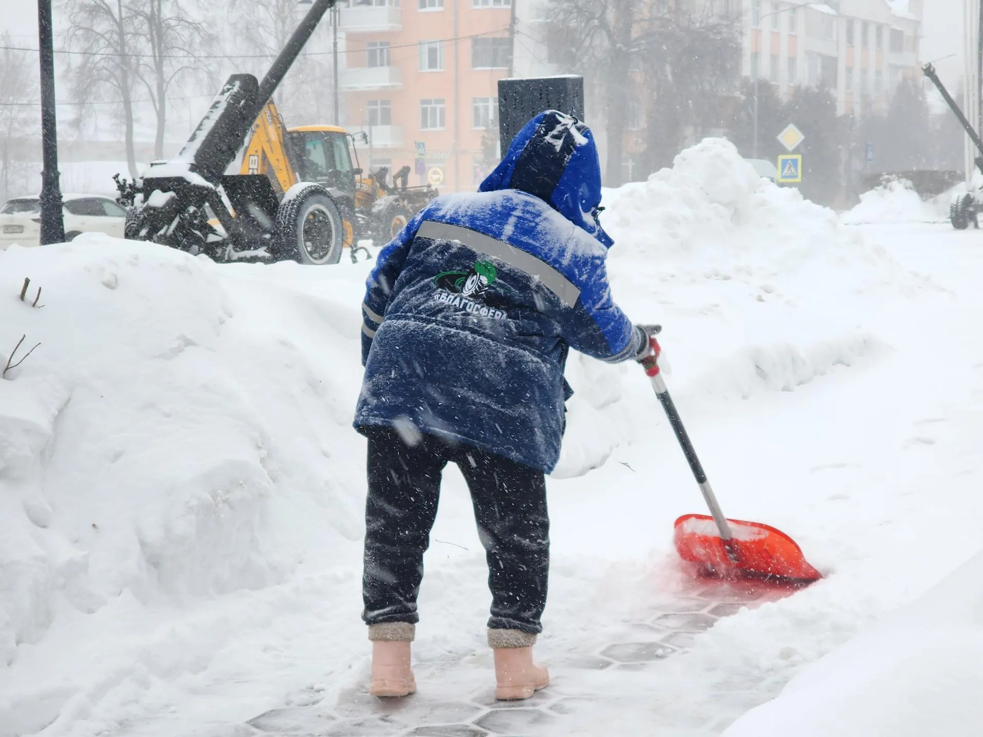 МедиаБанк Подмосковья/Ольга Аввакумова