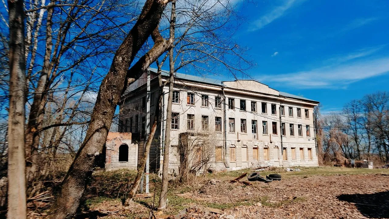 Фото: Мария Панина