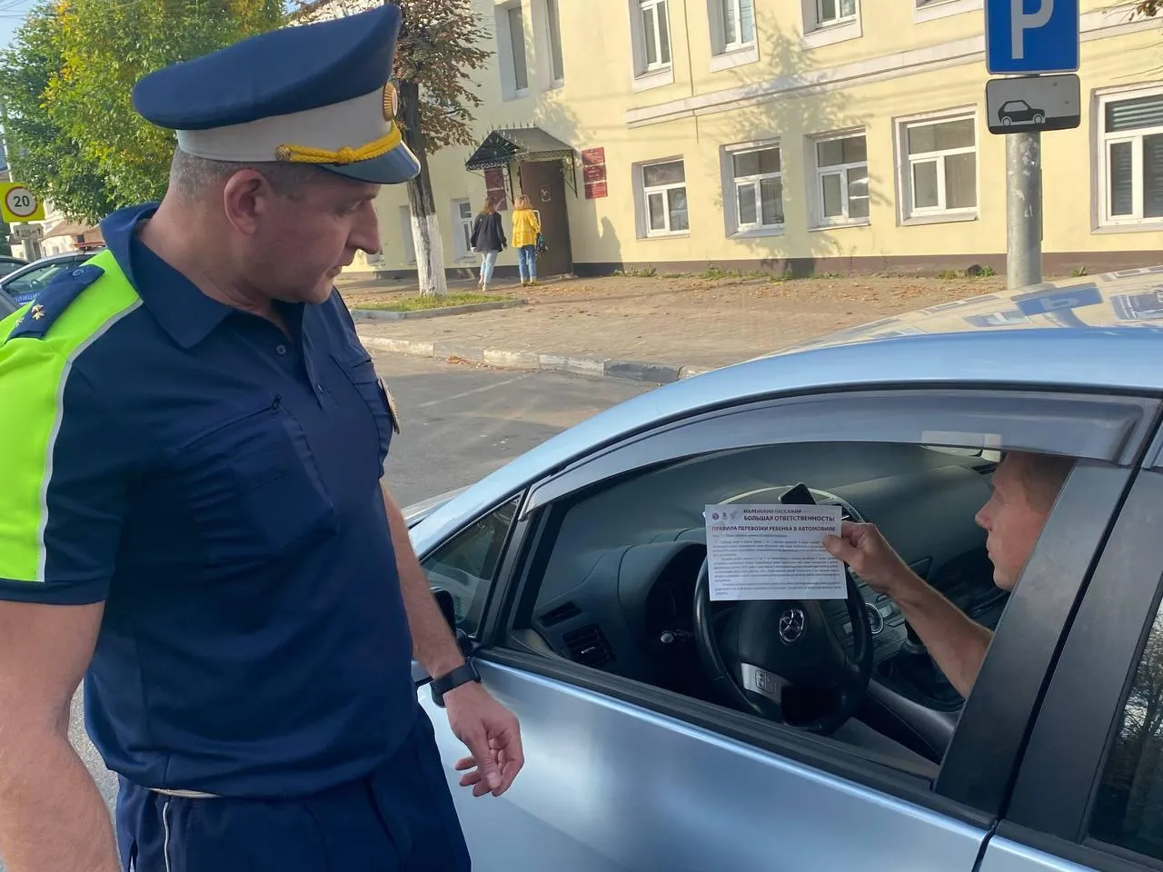 Источник: пресс-служба ГИБДД по городскому округу Павловский Посад