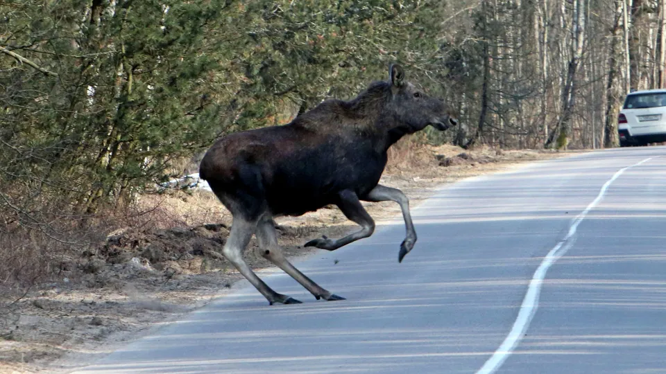 Фото: РИА Новости/Игорь Зарембо