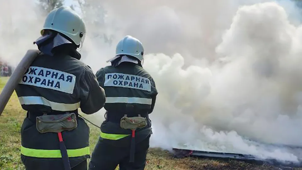 Фото: МедиаБанк Подмосковья/Яна Шаливская