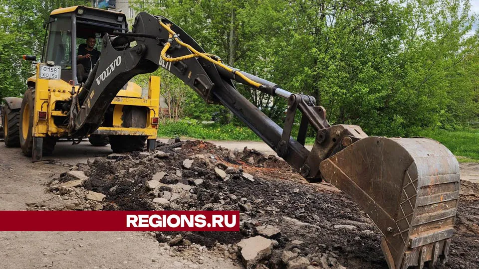 Фото: Валерия Тингаева