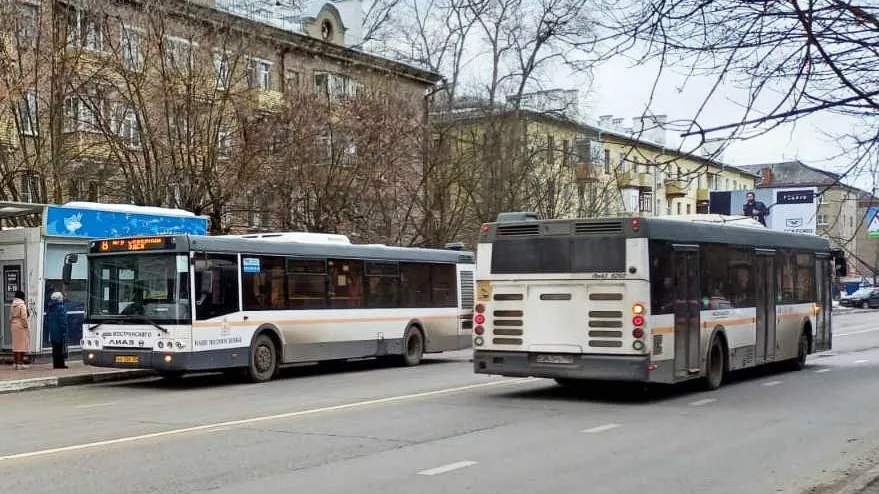 Фото: Нина Басистая