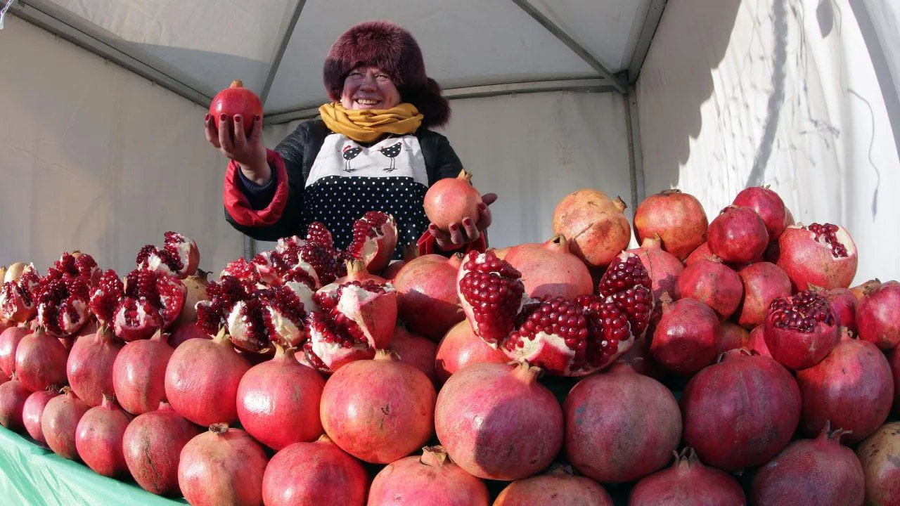 медиасток.рф