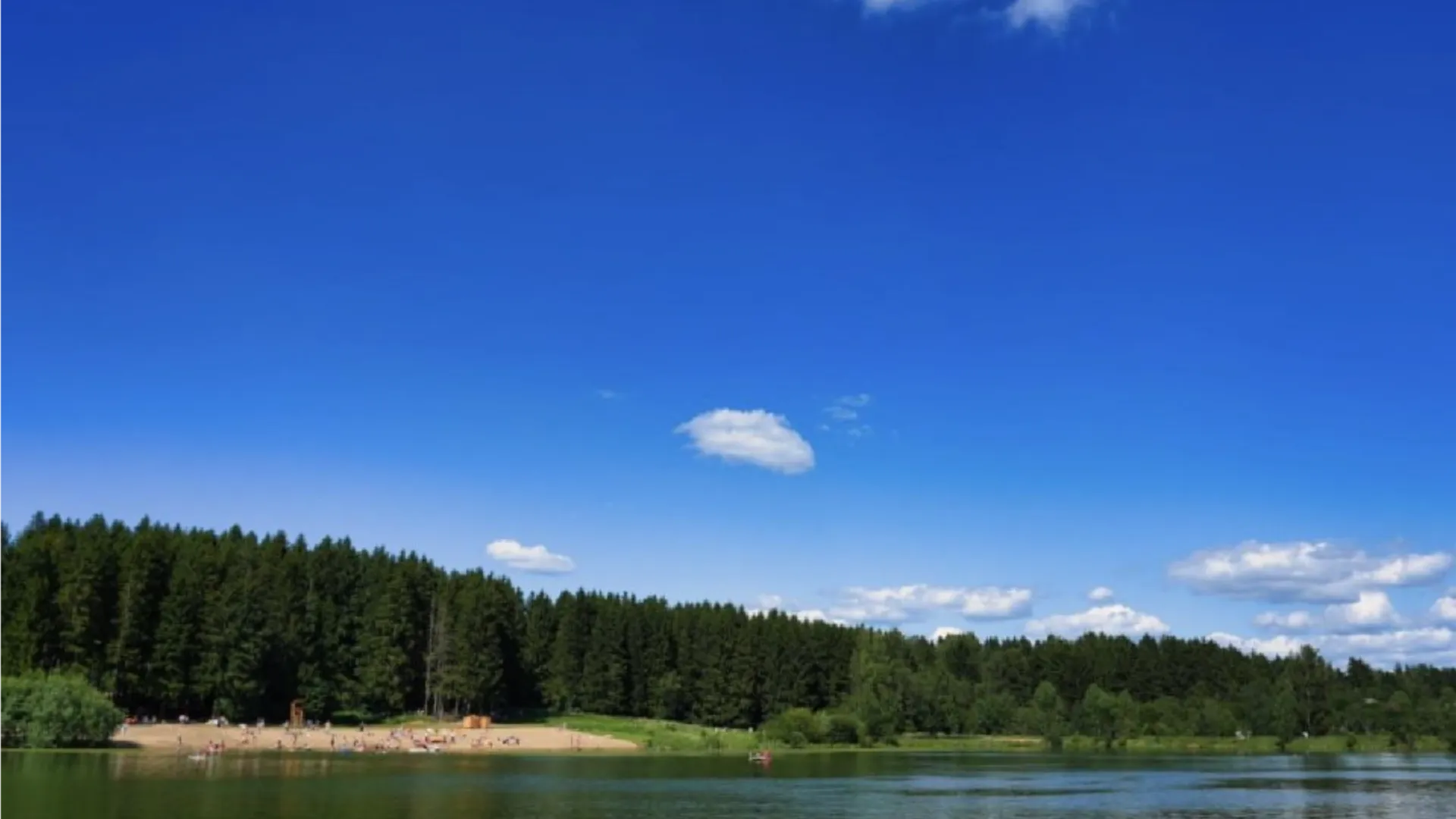 Фото: МедиаБанк Подмосковья/Дмитрий Зайчиков