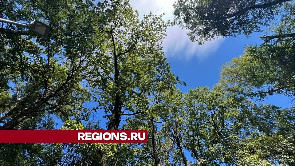 Фото: Валерия Ерофеева