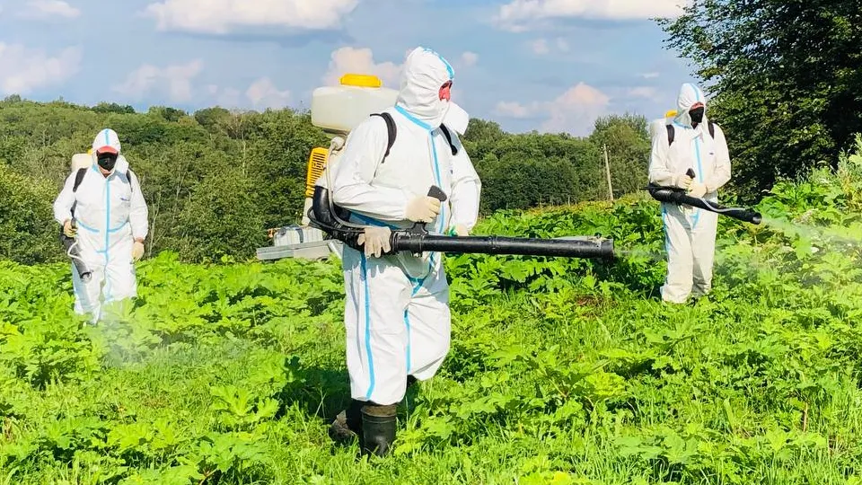 Фото: МедиаБанк Подмосковья/Виктория Ташева