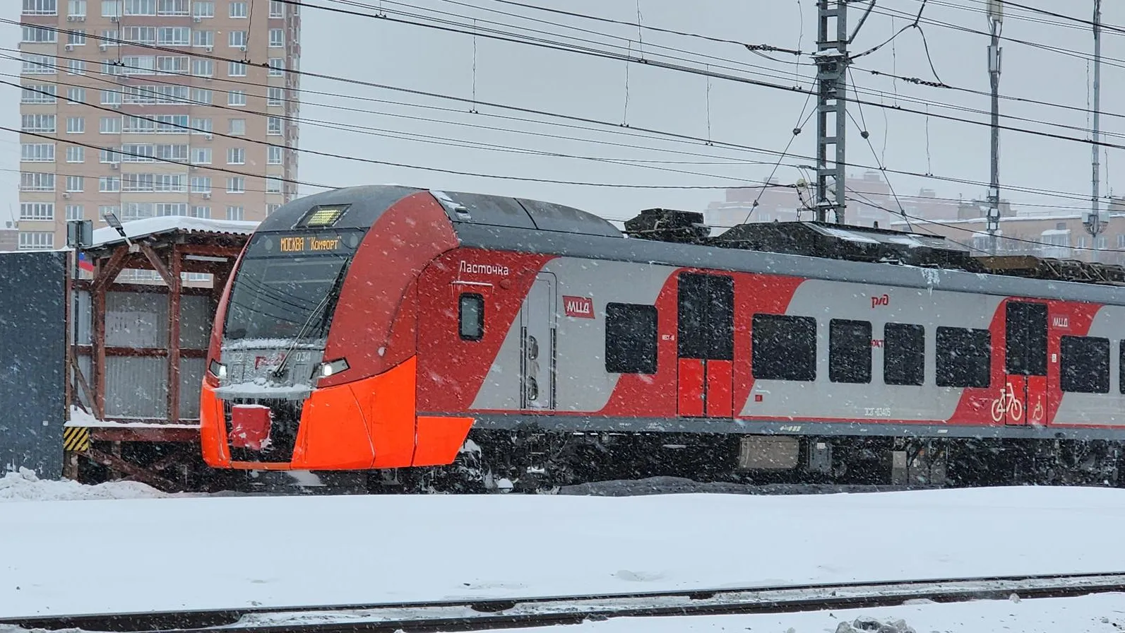 МедиаБанк Подмосковья/Максим Сафронов