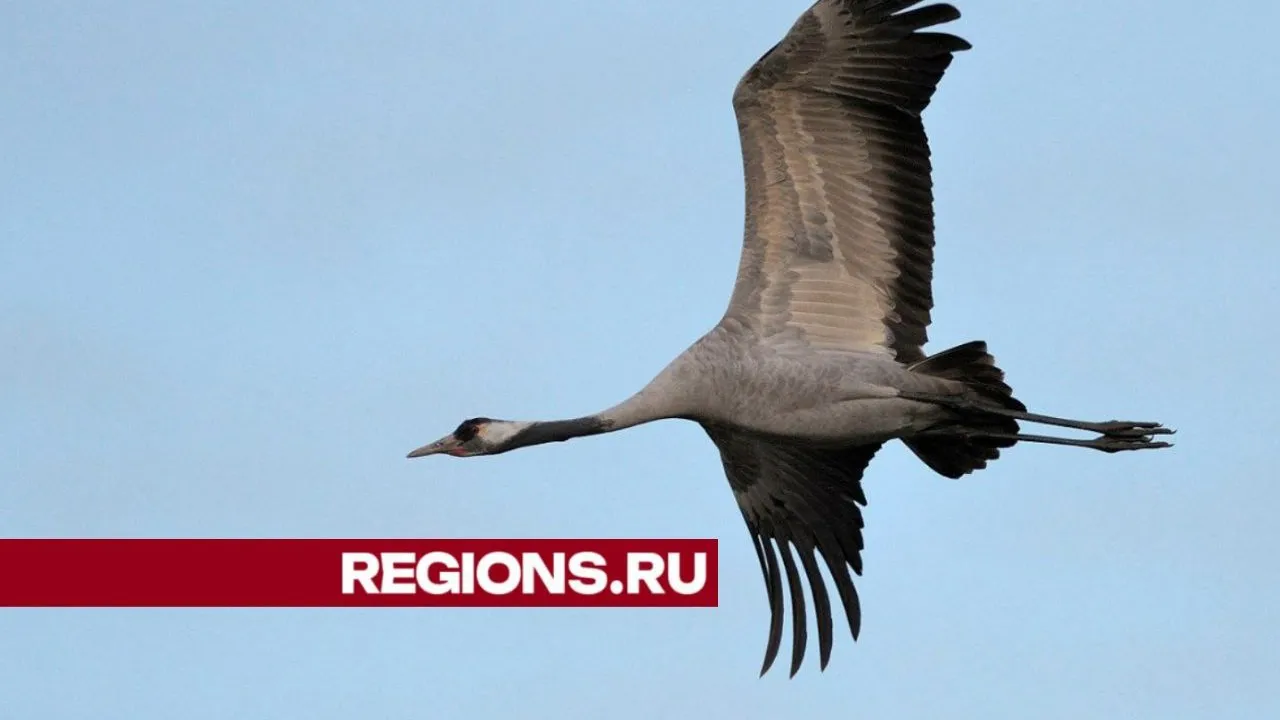 Фото: REGIONS/Евгений Рой