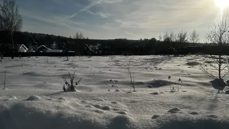 Единый портал торгов Московской области ЕАСУЗ