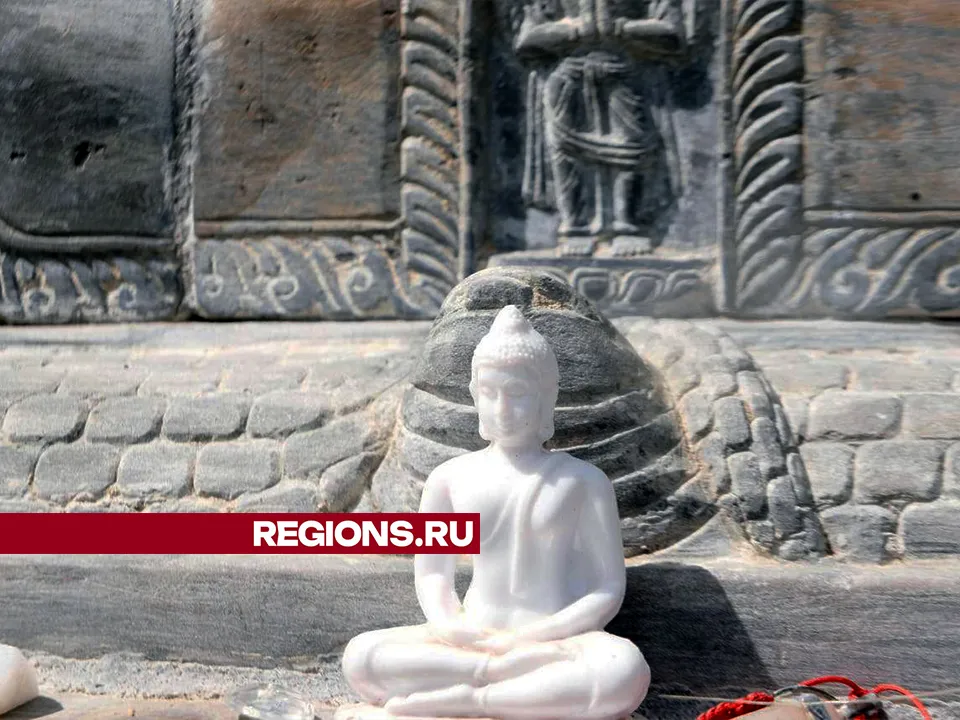 Фото: Мария Панина