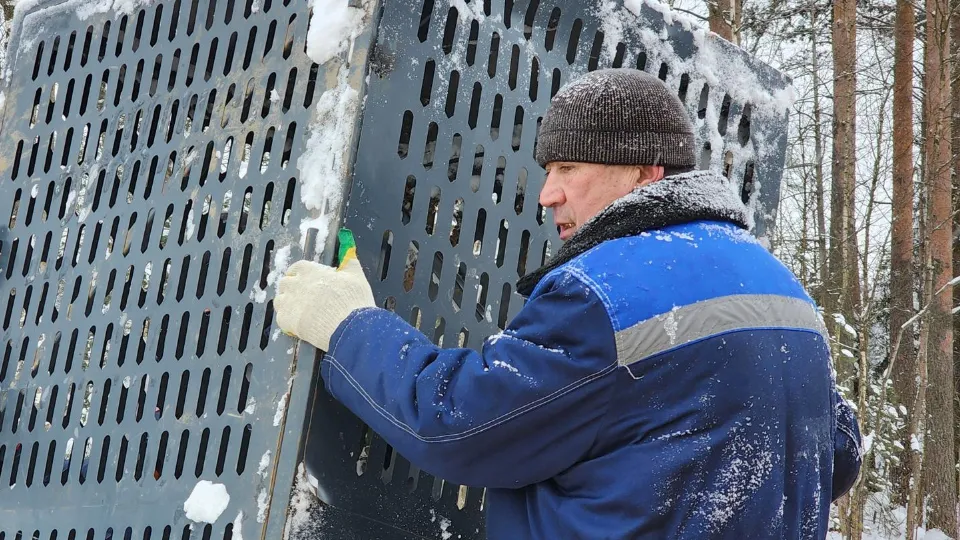 Фото: МедиаБанк Подмосковья/Юлия Смагринская