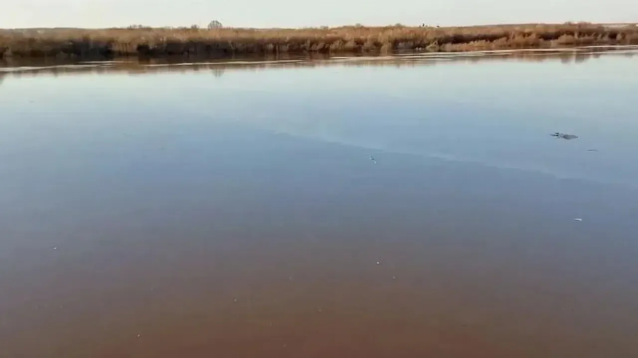 В Кашире уровень реки Оки резко увеличился за сутки: чем это грозит