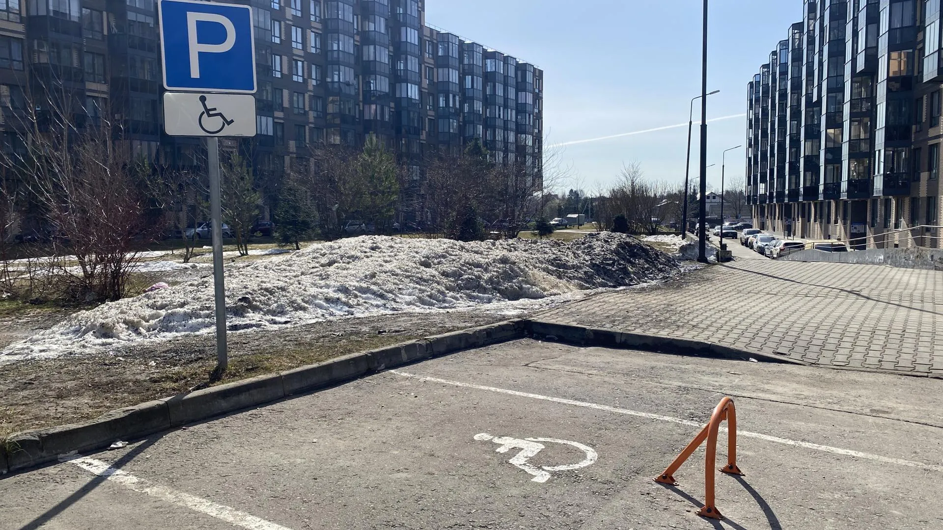 Анна Артюшина