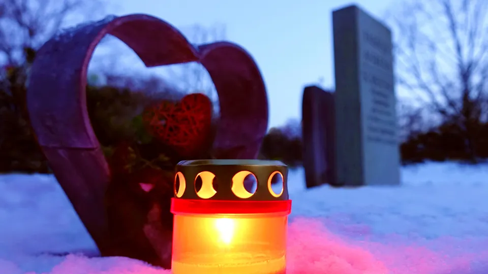 Фото: istockphoto.com/Andrea Sommer