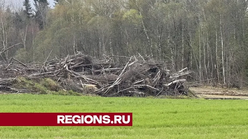 Фото: Татьяна Рунова