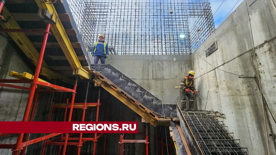 Фото: Дмитрий Алексеенко