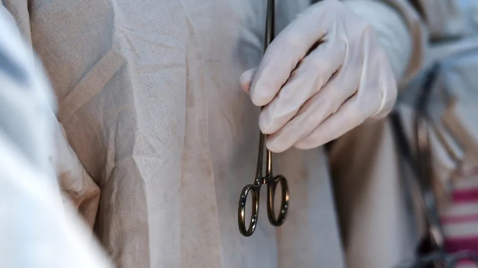 Фото: РИА Новости/Константин Михальчевский