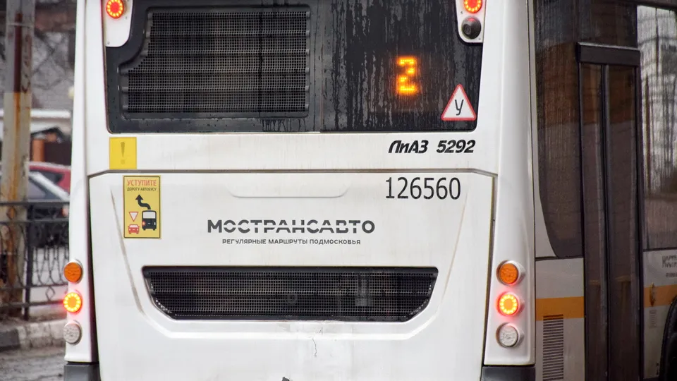 Фото: МедиаБанк Подмосковья/Алена Притула