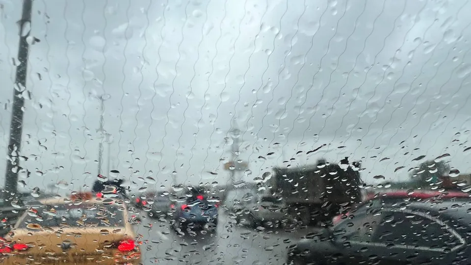 Фото: REGIONS/Елена Фурман