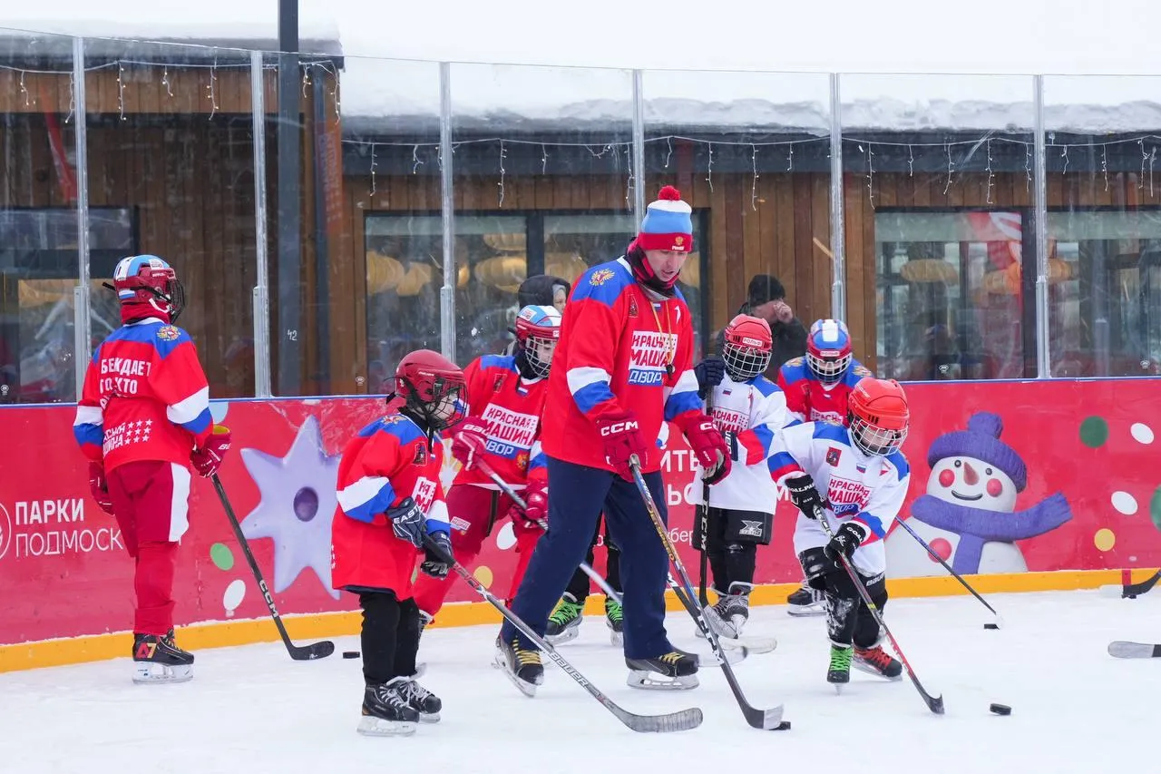 Губернатор Московской области Андрей Воробьев