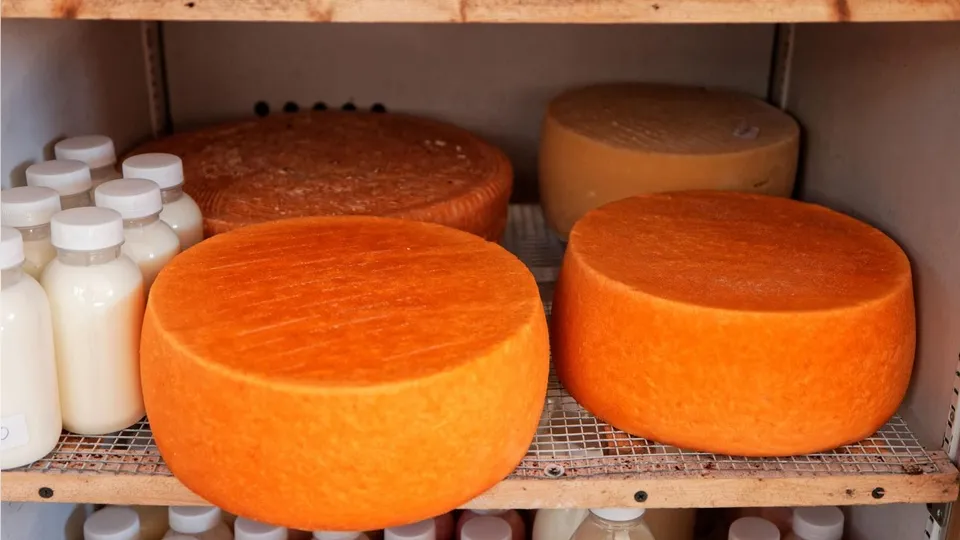 Фото: Министерство сельского хозяйства и продовольствия Московской области