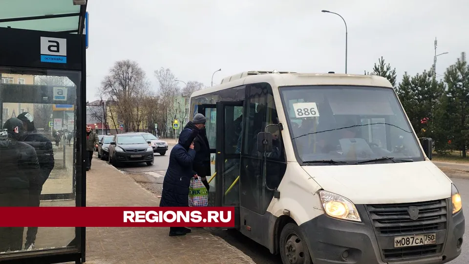 Фото: Валерия Тингаева