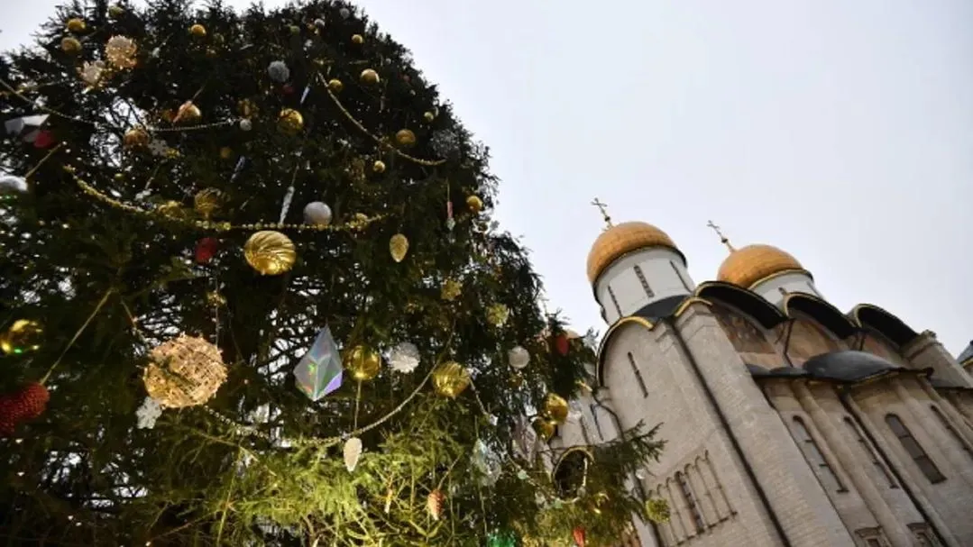 Фото: Павел Бедняков/РИА Новости