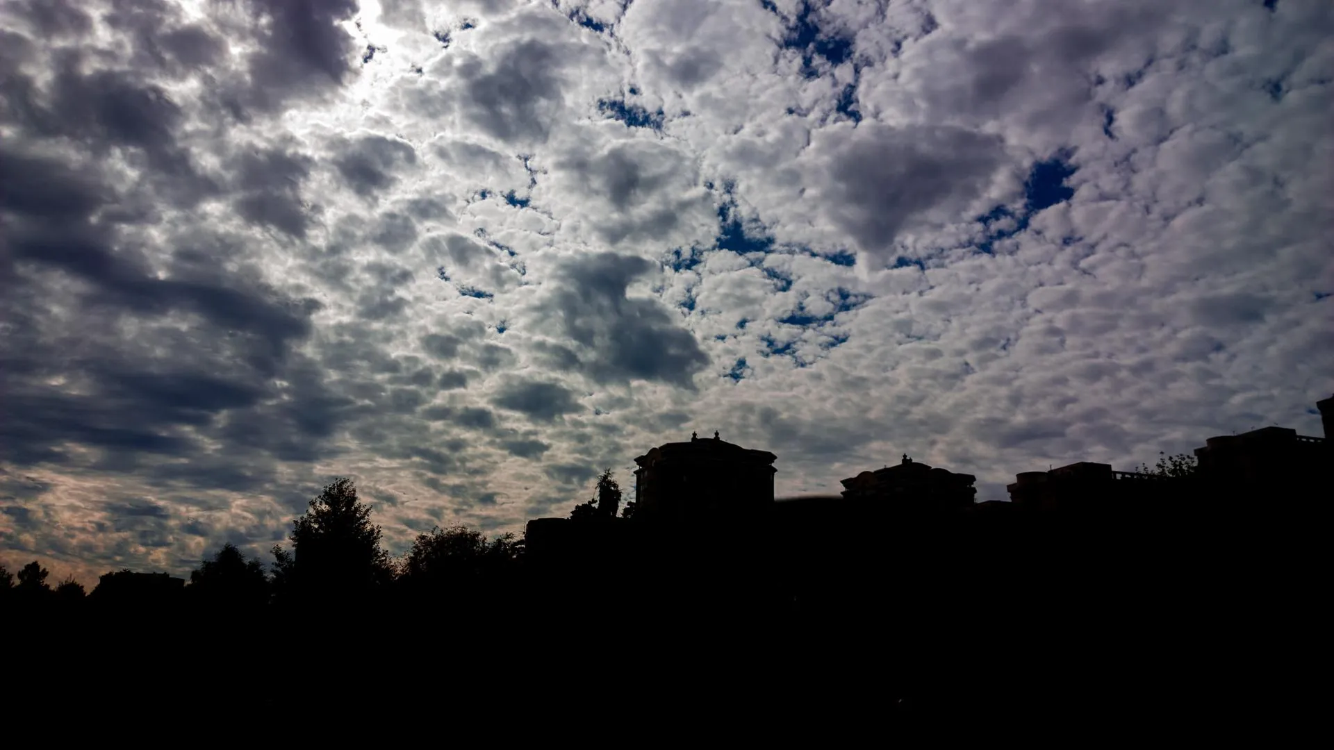 Фото: Евгений Лавряшин