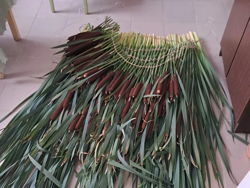 Фото: МедиаБанк Подмосковья/Екатерина Мелкозерова