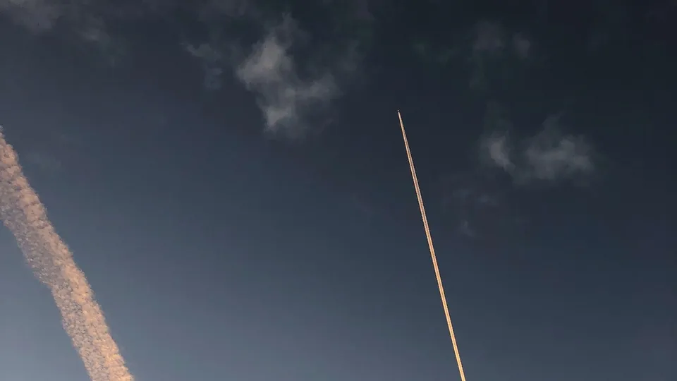 Фото: freepik.com