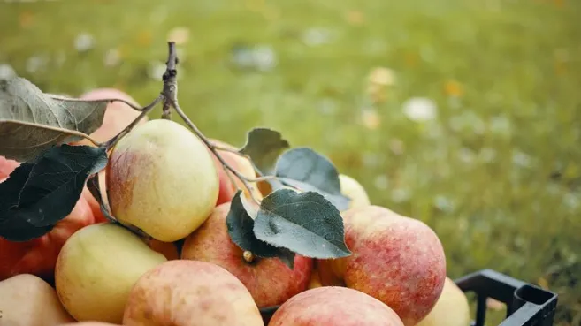 Фото: ru.freepik.com