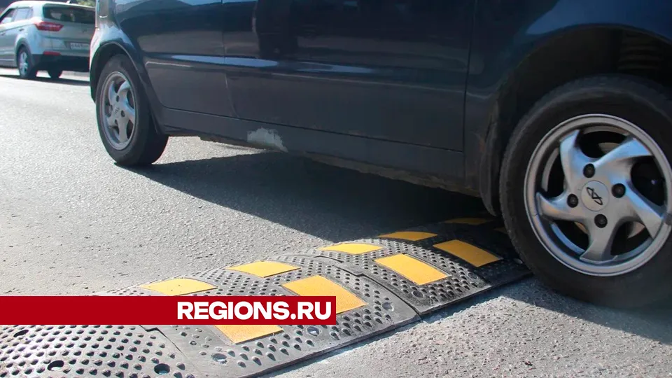 Фото: REGIONS/Василий Тремасов