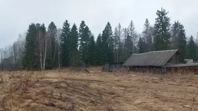 Фото: Единый портал торгов Московской области ЕАСУЗ