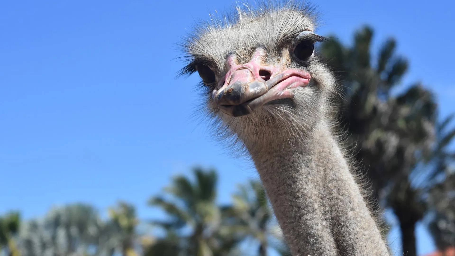 Изображение от DejaVu Designs на Freepik