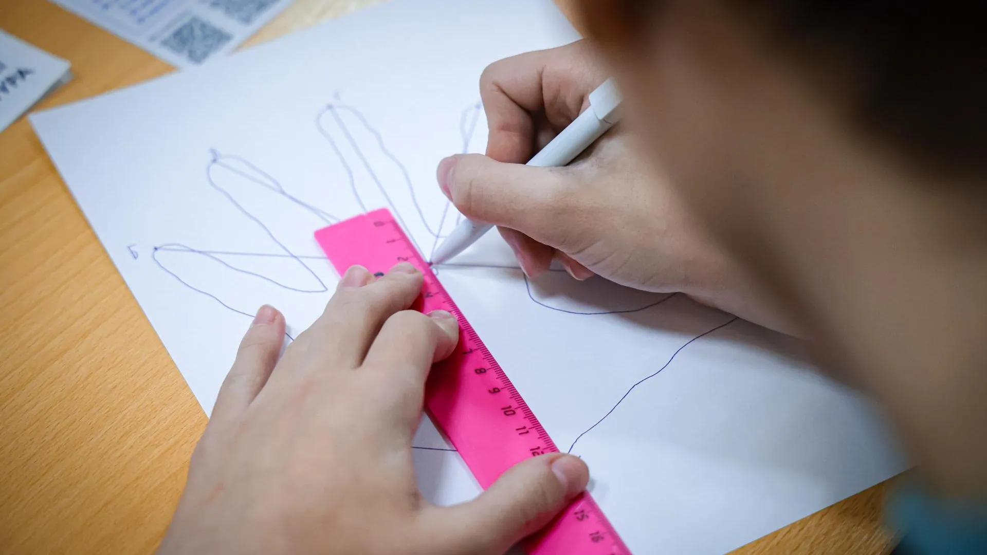 МедиаБанк Подмосковья/Данила Кирьянов