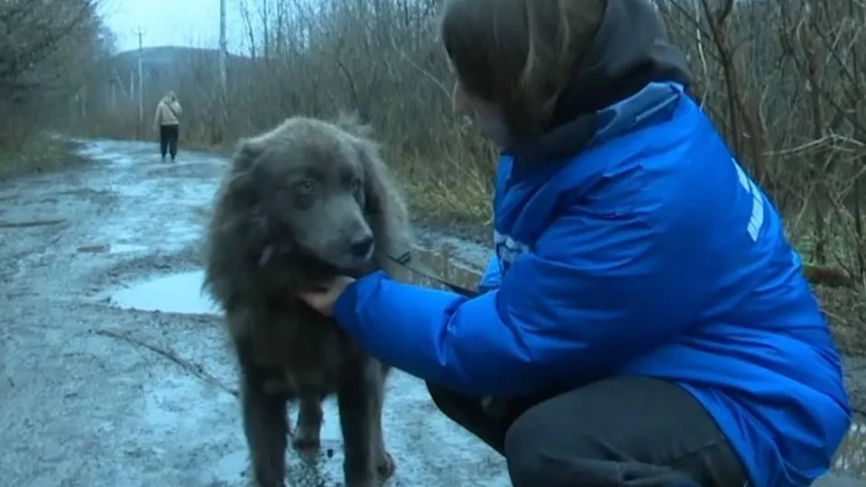 Фото: пресс-служба администрации городского округа Реутов