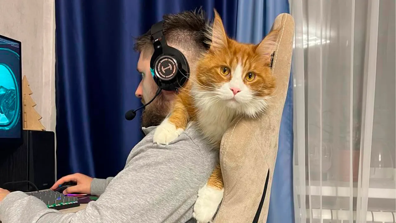 архив семьи Маркиных