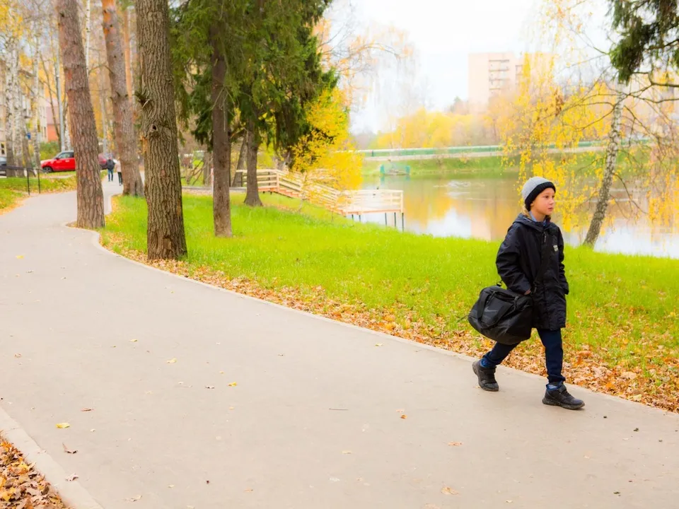 Фото: Министерство благоустройства Московской области