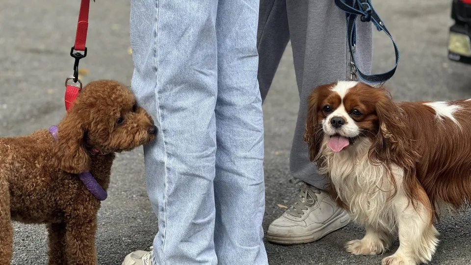 Фото: Полина Абраменко