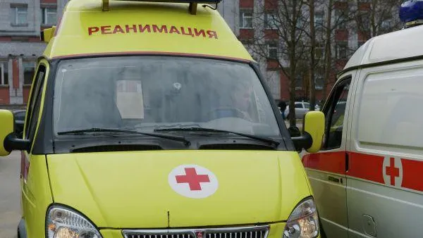 Собака покусала четырехлетнего мальчика в Коломне