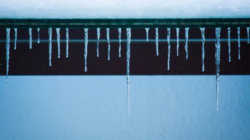 Фото: REGIONS/Владимир Ерастов