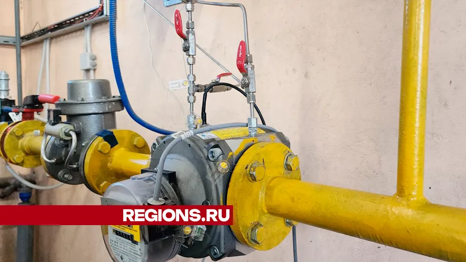 Фото: Юлия Андросова
