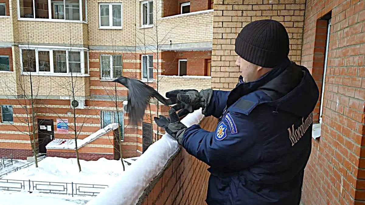 пресс-служба ГКУ МО «Мособлпожспас»