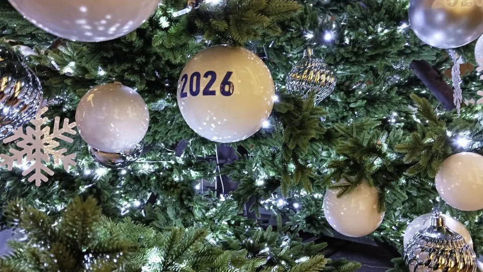 Фото: REGIONS/Наталья Пичугина