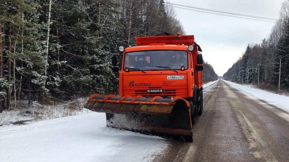 Фото: pxhere.com