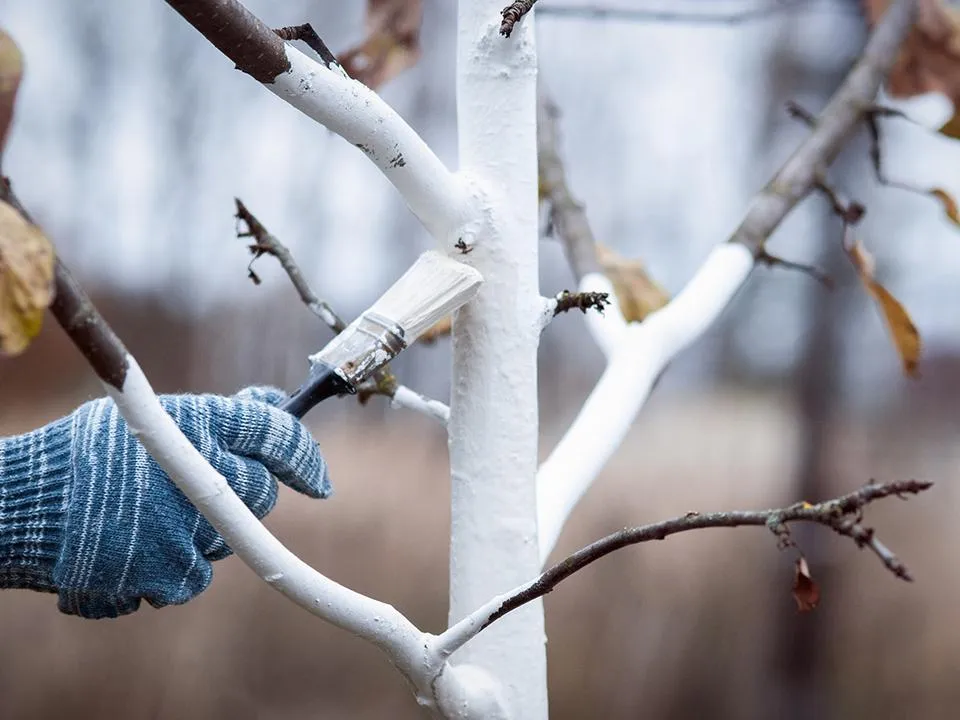 Фото: istockphoto.com/Nadya So